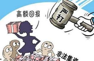 新农人非法集资爆料视频,揭秘背后惊人真相  第1张